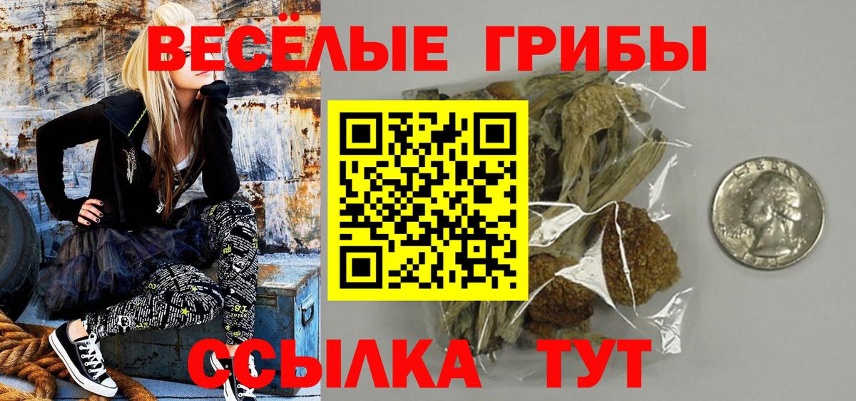 Псилоцибиновые грибы ЛСД  Вход с VPN  Псилоцибиновые грибы Cubensis  Белогорск 